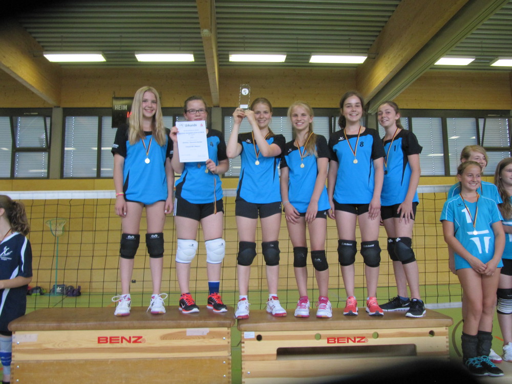 Volleyball-Mannschaft des HGE